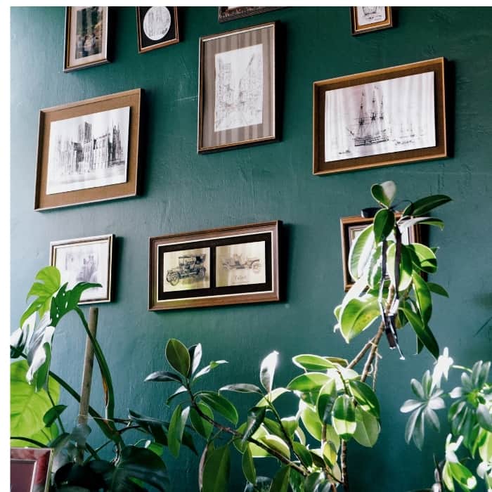 music room with plants and pictures