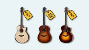 how much does an acoustic guitar cost